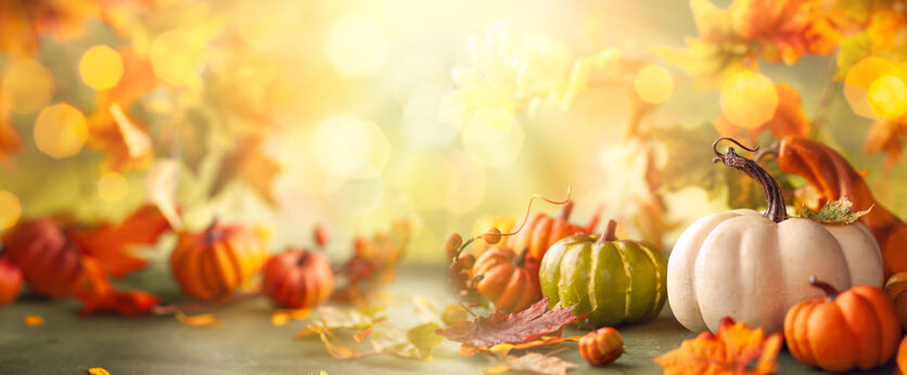 Tips to Create a Memorable Thanksgiving