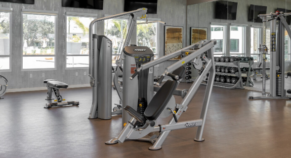 httpsrqprodassets.s3.amazonaws.comimagesuploads5gallerycroppedb3b5fe7f05cf8b7deefc1503efafe4796646c600