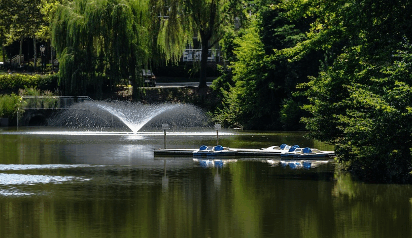 httpsrqprodassets.s3.amazonaws.comimagesuploads5gallerycroppedc02d2a7bd415737f8a010eab47f679f2797f779f